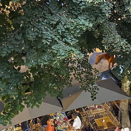 Au 47 Allées D'etigny - Central&standing - Avec Parking - Linge De Lit Et De Toilette Inclus *