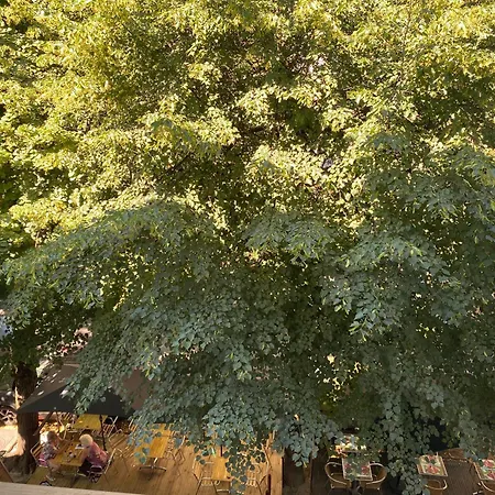 Apartamento Au 47 Allées D'etigny - Central&standing - Avec Parking - Linge De Lit Et De Toilette Inclus *