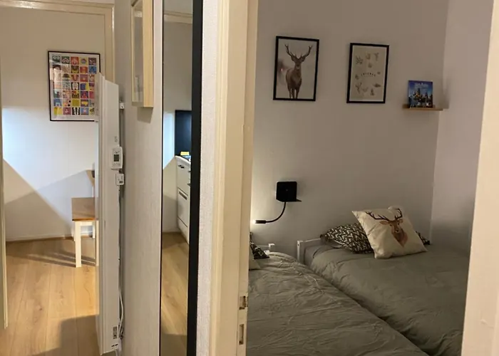 Au 47 Allees D'etigny - & Standing - Avec Parking - Linge De Lit Et De Toilette Inclus Bagnères-de-Luchon